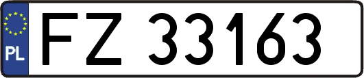 FZ33163