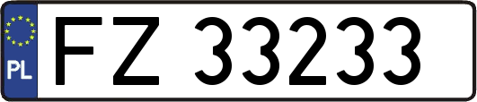 FZ33233