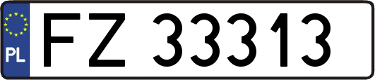 FZ33313