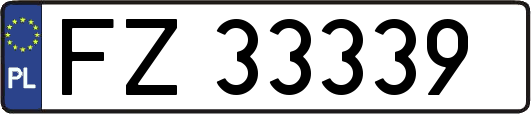 FZ33339
