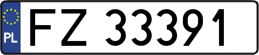 FZ33391