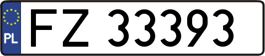 FZ33393