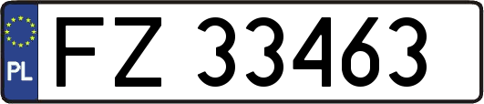 FZ33463