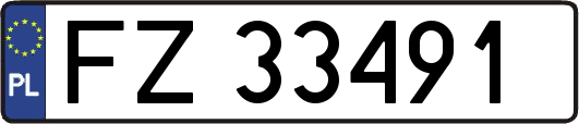 FZ33491