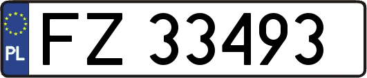 FZ33493