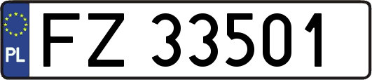 FZ33501