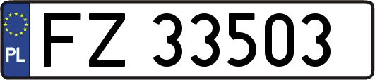 FZ33503
