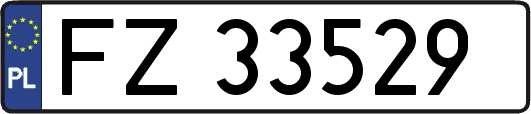FZ33529