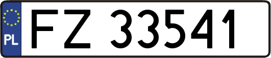 FZ33541