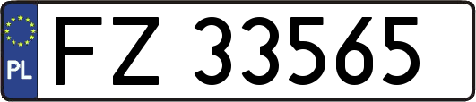 FZ33565
