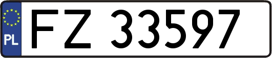 FZ33597
