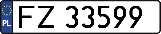 FZ33599