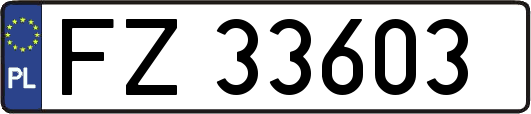 FZ33603