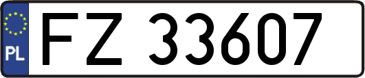 FZ33607