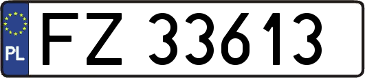 FZ33613