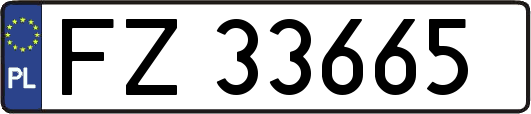 FZ33665