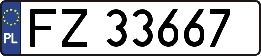 FZ33667