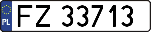 FZ33713