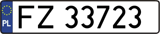 FZ33723
