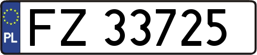 FZ33725