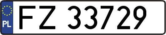 FZ33729