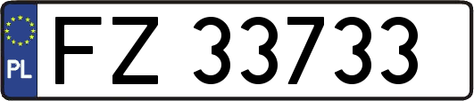 FZ33733