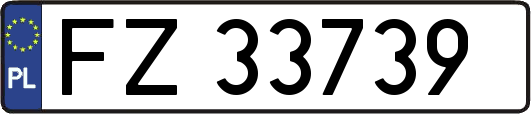 FZ33739