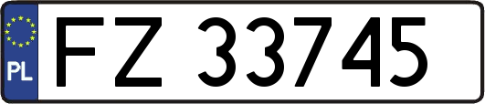 FZ33745