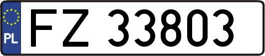 FZ33803