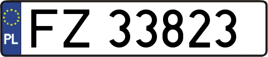 FZ33823