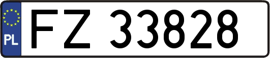 FZ33828