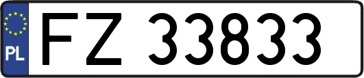 FZ33833