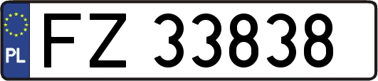 FZ33838