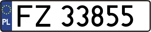 FZ33855