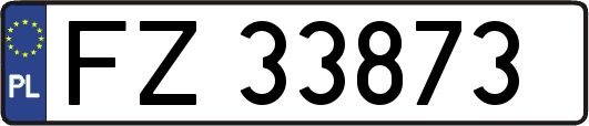 FZ33873