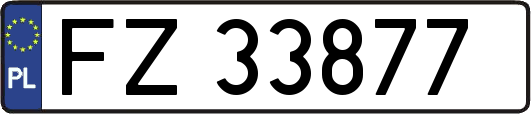 FZ33877