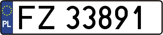 FZ33891