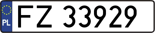 FZ33929
