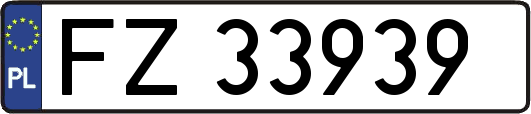FZ33939