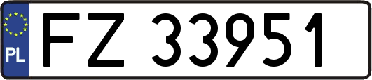 FZ33951
