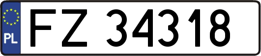 FZ34318