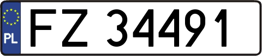 FZ34491