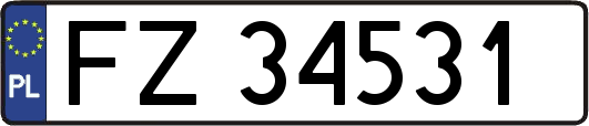 FZ34531