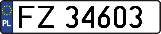 FZ34603