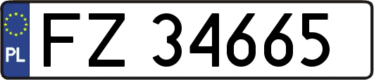 FZ34665