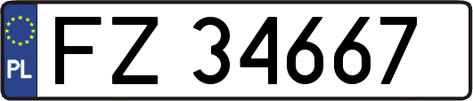 FZ34667