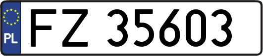 FZ35603