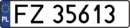 FZ35613
