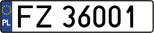 FZ36001
