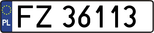 FZ36113